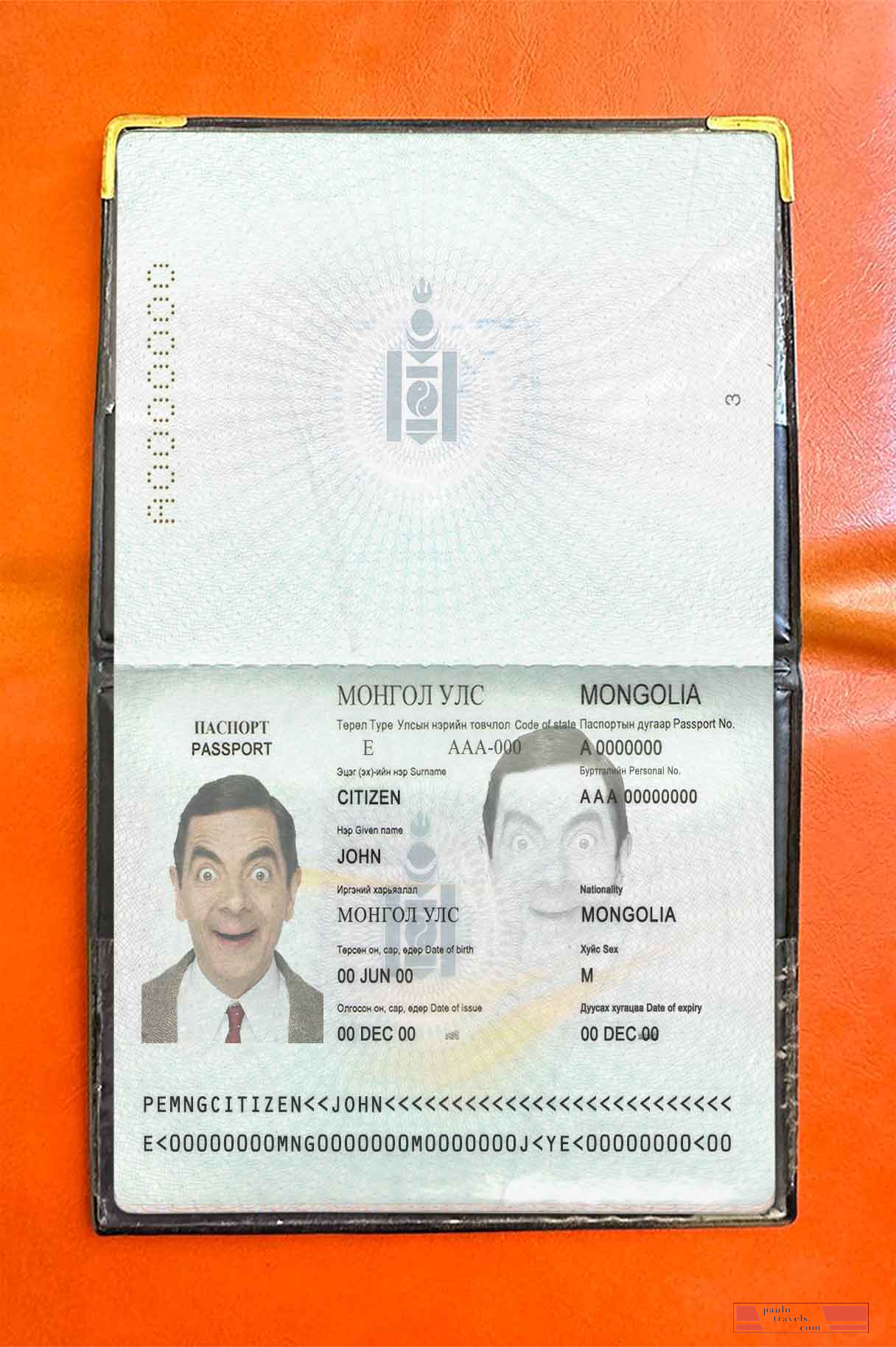 Mongolia passport photo look PSD template